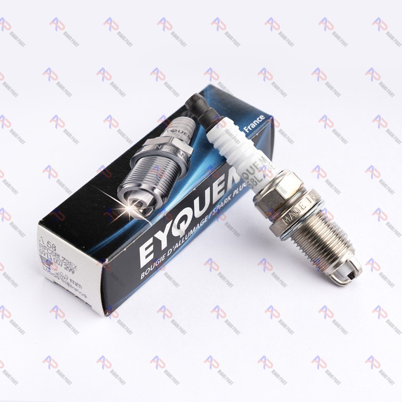 شمع اکیوم RFC58LZ3EX(A58) فرانسه